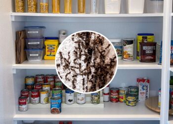 As plantas que afastam formigas da sua despensa