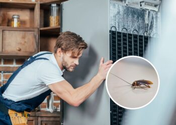 Como evitar que baratas se escondam atrás da geladeira