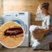 Como impedir que baratas entrem na máquina de lavar roupa
