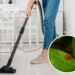 Como eliminar os ácaros escondidos no aspirador de pó de forma eficaz