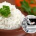 O jeito mais prático de preparar arroz rápido e sem erro no micro-ondas