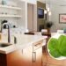 3 plantas que deixam sua casa cheirosa e livre de insetos