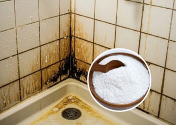 Esse pó natural evita limo no box e deixa tudo brilhando