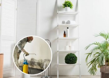 Truque natural para manter o banheiro sem mofo mesmo no inverno