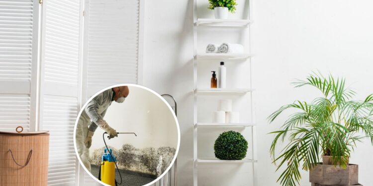 Truque natural para manter o banheiro sem mofo mesmo no inverno