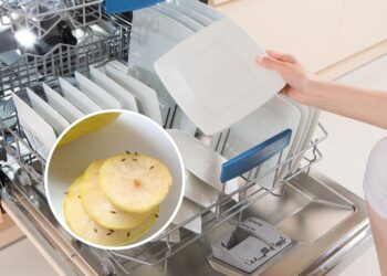 Truque rápido para acabar com os mosquitinhos perto da lava-louças