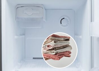 Como o freezer pode ajudar a conservar até roupas e tecidos