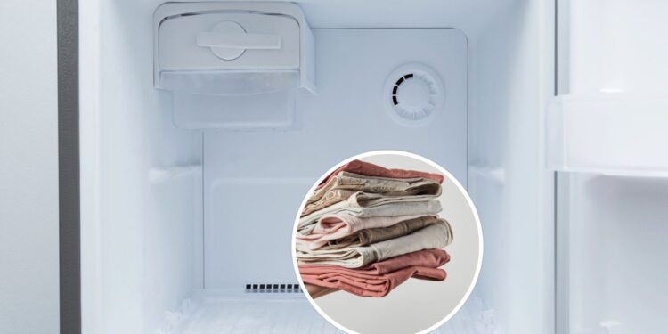 Como o freezer pode ajudar a conservar até roupas e tecidos