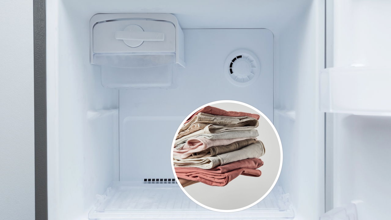 O melhor truque com freezer para conservar roupas e tecidos