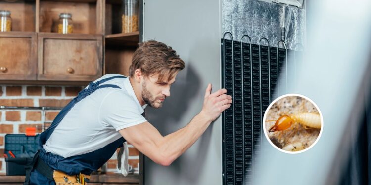 Truque natural para afastar cupins da parte de trás da geladeira