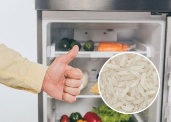 O que acontece se você colocar arroz cru dentro da geladeira