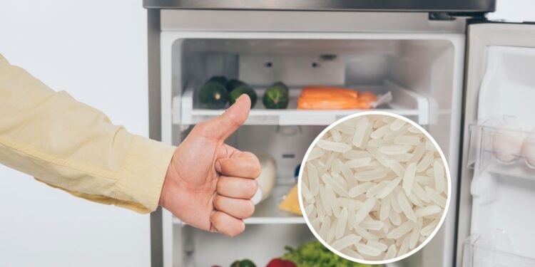 O que acontece se você colocar arroz cru dentro da geladeira