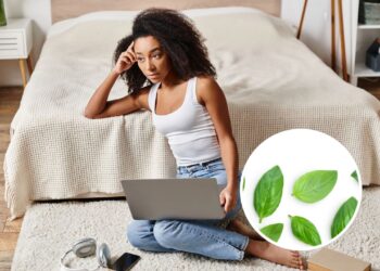 3 ervas que limpam as energias negativas do ambiente