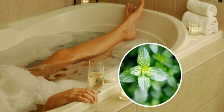 As plantas que transformam seu banho em um ritual terapêutico