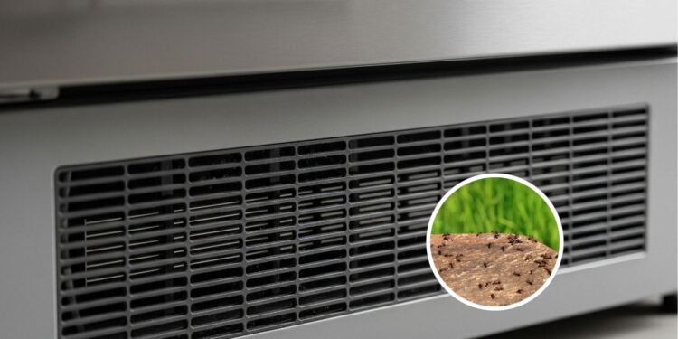 Como evitar que insetos entrem pela saída de ar da geladeira