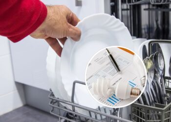 Esse truque com a lava-louças pode economizar até 30% de energia