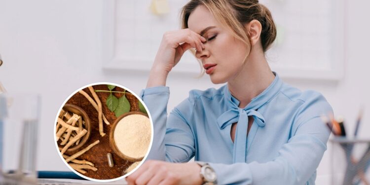 Essas ervas poderosas podem reduzir a sensação de estresse diário