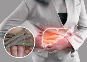 Essa raiz milenar pode aliviar inflamações e proteger seu fígado