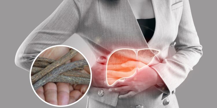 Essa raiz milenar pode aliviar inflamações e proteger seu fígado