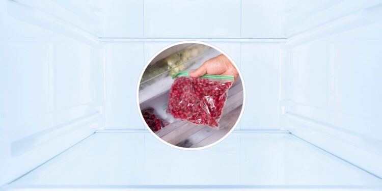 A melhor forma de conservar temperos por meses no freezer