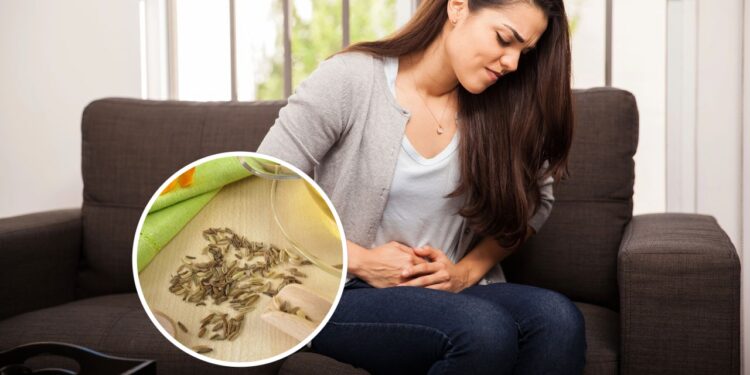 Essa planta poderosa pode aliviar sintomas de TPM