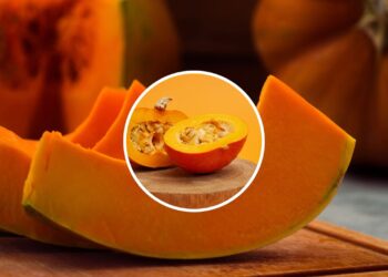 Como tirar a casca de abóbora usando o micro-ondas