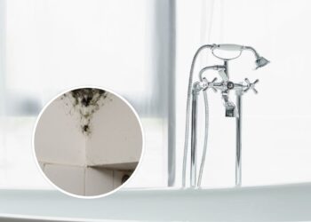 Soluções caseiras que eliminam o mofo do banheiro de forma prática e rápida