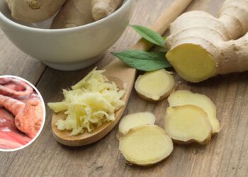 Ervas que ajudam na saúde da tireoide e equilibram o metabolismo