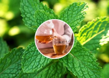 Chá anti-inflamatório de hortelã-pimenta ajuda na digestão e fortalece a microbiota