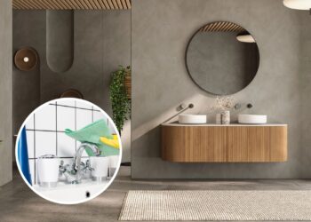 Essa solução caseira desinfeta o banheiro sem produtos químicos