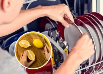 Isso é o que acontece se você colocar limão dentro da lava-louças