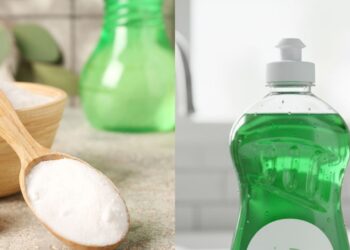 Misture bicarbonato de sódio e detergente: por que eles recomendam fazer e para que serve