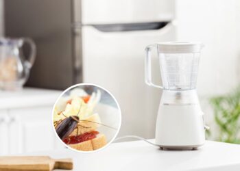 Você nunca mais vai ver baratas no liquidificador depois disso