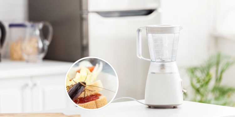 Você nunca mais vai ver baratas no liquidificador depois disso