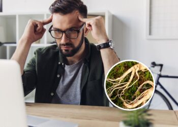 Essa é a raiz da vitalidade que fortalece memória e protege contra gripes