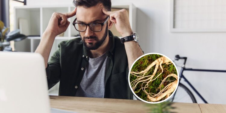 Essa é a raiz da vitalidade que fortalece memória e protege contra gripes