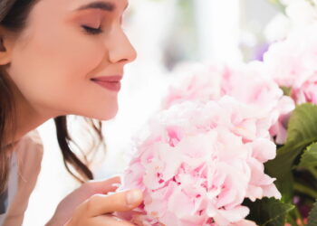 Saiba qual flor reflete seu signo e como cultivá-la em casa