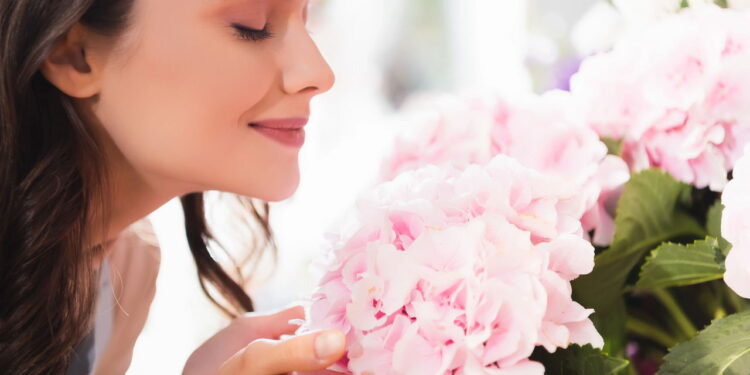 Saiba qual flor reflete seu signo e como cultivá-la em casa