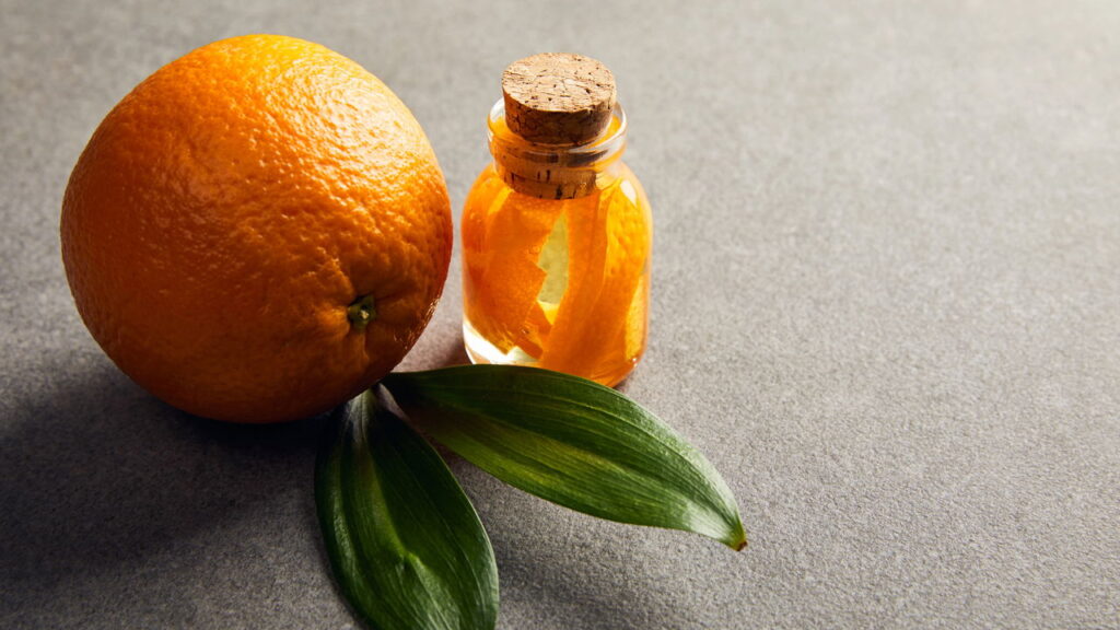 Com esses métodos você pode afastar os cupins dos seus móveis com segurança