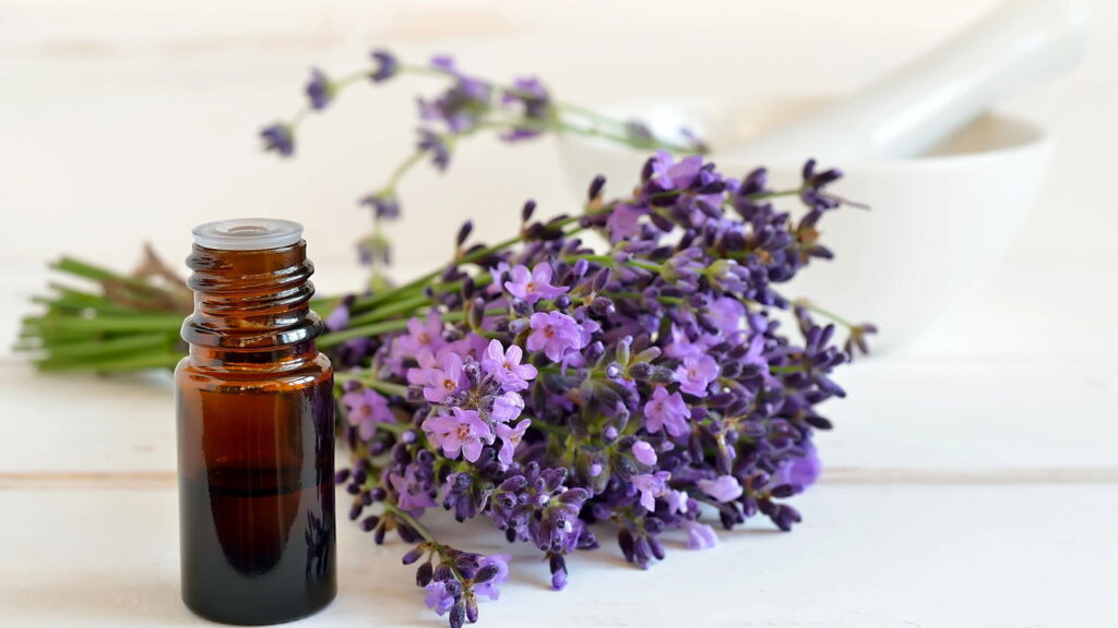 Um ingrediente simples que acaba com baratas no box e quase ninguém usa