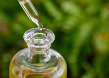 O óleo natural dessa árvore é o mais potente para dores e inflamações crônicas