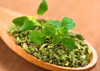 Ervas que fortalecem a imunidade e ajudam na prevenção de gripes