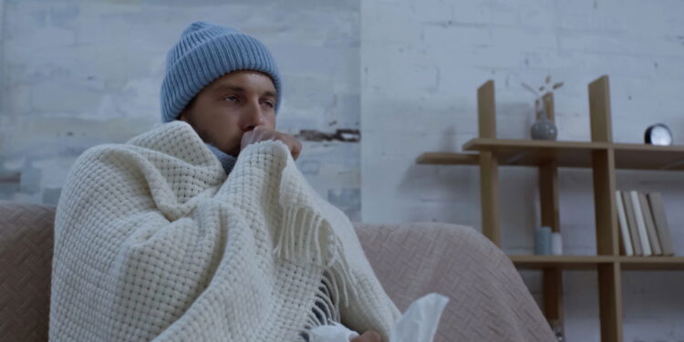 Essa planta alivia faringite, bronquite e irritações gástricas naturalmente