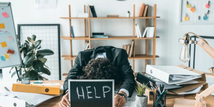 Essa erva aromática pode aliviar dores e ainda reduzir o estresse