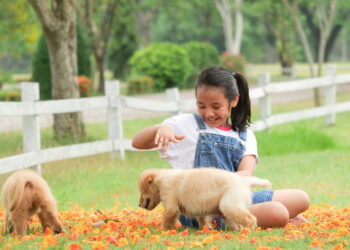 Atividades no jardim criam conexão natural entre tutores e pets