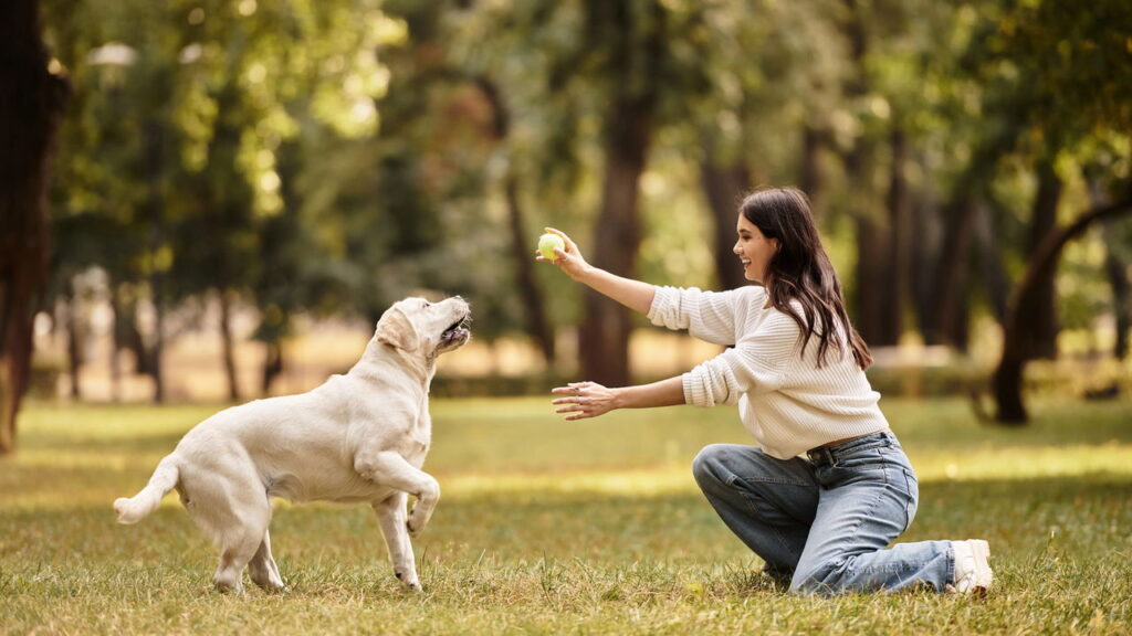 Cães e gatos se comunicam por gestos e sons, e interpretar esses sinais evita problemas de comportamento
