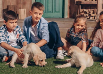 Como pets influenciam emoções e reduzem o estresse