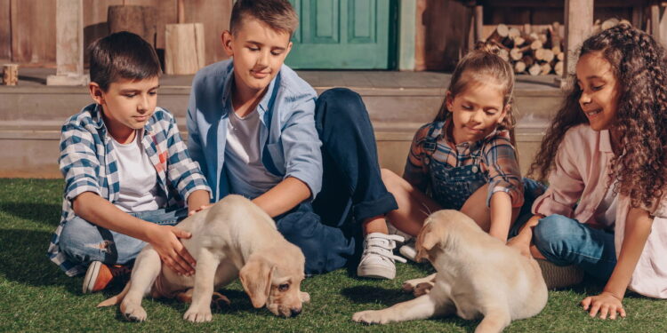 Como pets influenciam emoções e reduzem o estresse