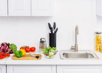 O que nunca deixar na pia para evitar insetos