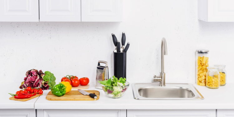 O que nunca deixar na pia para evitar insetos